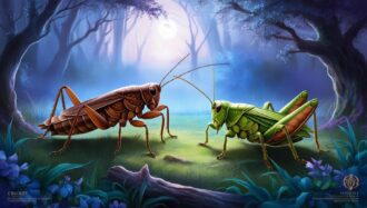 Spirituele betekenis Krekel of Sprinkhaan-betekenis krekel-betekenis sprinkhaan-zensitivity.nl