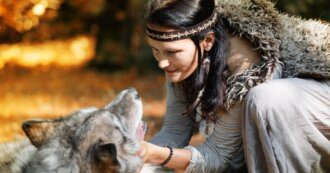 wat is de spirituele betekenis van de wolf - zensitivity - spirituele betekenis - dromen betekenis