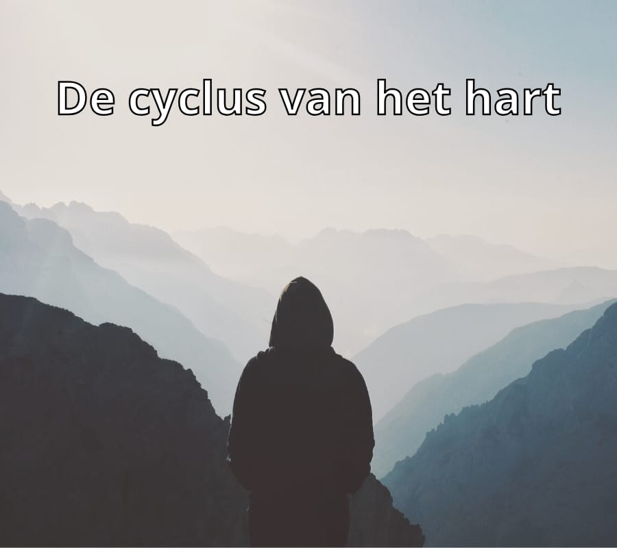 cyclus van het hart een gedicht over rouw en geluk-zensitivity