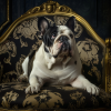 Bulldog Dolce foto-downloadbare foto-bestel Bulldog Dolce foto-zensitivity.nl