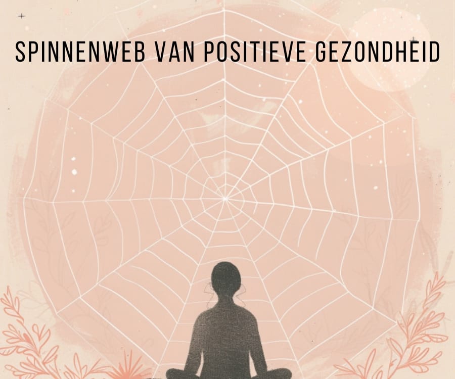 Het spinnenweb van positieve gezondheid, reflectie, tips met oefeningen | Zensitivity Het spinnenweb van positieve gezondheid, reflectie, tips met oefeningen