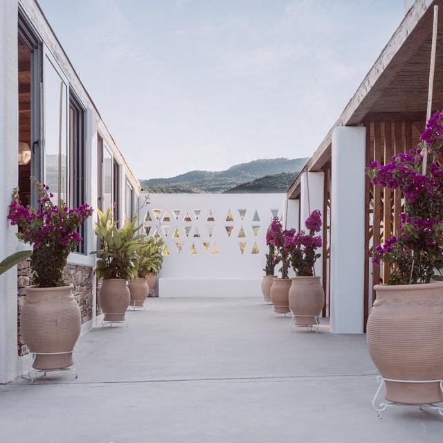 Agorastos Luxury Living Aparthotel in Pieria | Zensitivity Agorastos Luxury Living Aparthotel in Pieria - Afbeelding 2