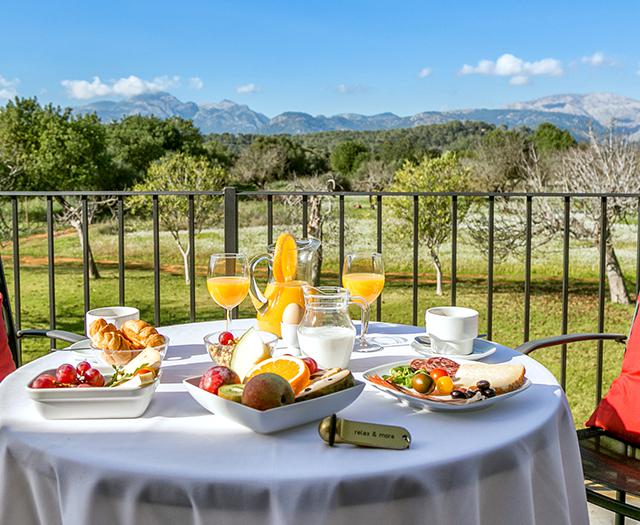 Alternative view of Agroturisme Son Pons Hotel in Mallorca