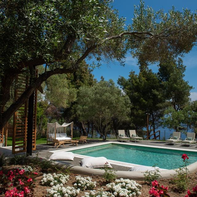 Biohotel Elies 33 Hotel -vakantie Griekenland-goedkope vakantie Griekenland-vakantie boeken-vakantie Chalkidiki-last minute vakantie Griekenland-zensitivity- Hotel boeken