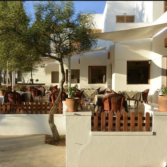 Alternative view of Bungalows Es Pins Aparthotel in Formentera