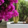 Caserío de Mozaga Hotel in Lanzarote | Zensitivity Caserío de Mozaga Hotel in Lanzarote-online magazine voor vrouwen-zensitivity