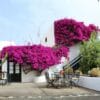 Caserío de Mozaga Hotel in Lanzarote | Zensitivity Caserío de Mozaga Hotel -vakantie Spanje-goedkope vakantie Spanje-vakantie boeken-vakantie Lanzarote-last minute vakantie Spanje-zensitivity- Hotel boeken