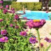 Harvest Moon Appartement in Kefalonia