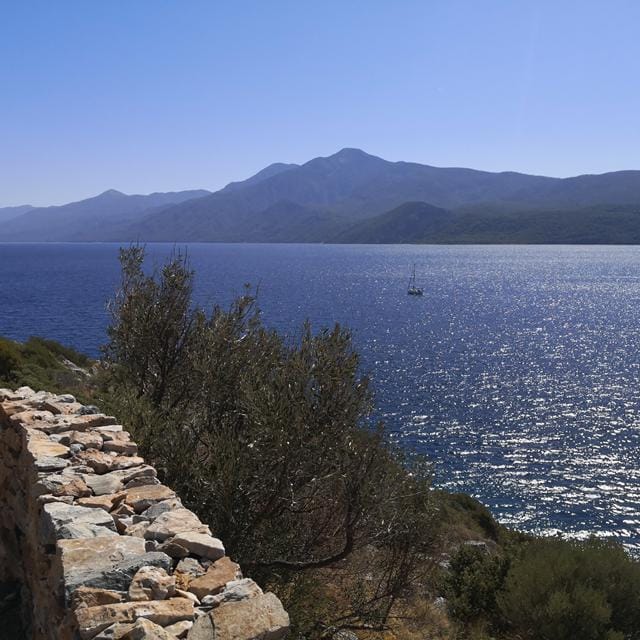 Mertziki Village Villa in Samos | Zensitivity Mertziki Village Villa in Samos - Afbeelding 3