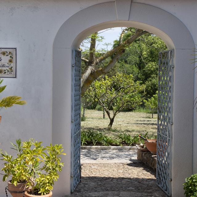 Olival de Sao Filipe Appartement in Costa de Lisboa | Zensitivity Olival de Sao Filipe Appartement -vakantie Portugal-goedkope vakantie Portugal-vakantie boeken-vakantie Costa de Lisboa-last minute vakantie Portugal-zensitivity- Appartement boeken