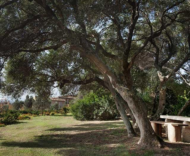 Parco Degli Ulivi Hotel in Sardinië | Zensitivity Parco Degli Ulivi Hotel in Sardinië - Afbeelding 2