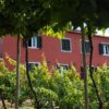 Quinta das Vinhas Aparthotel in Madeira