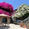 Cyprus Village Houses Tochni Appartement in Cyprus | Zensitivity Cyprus Village Houses Tochni Appartement in Cyprus-online magazine voor vrouwen-zensitivity