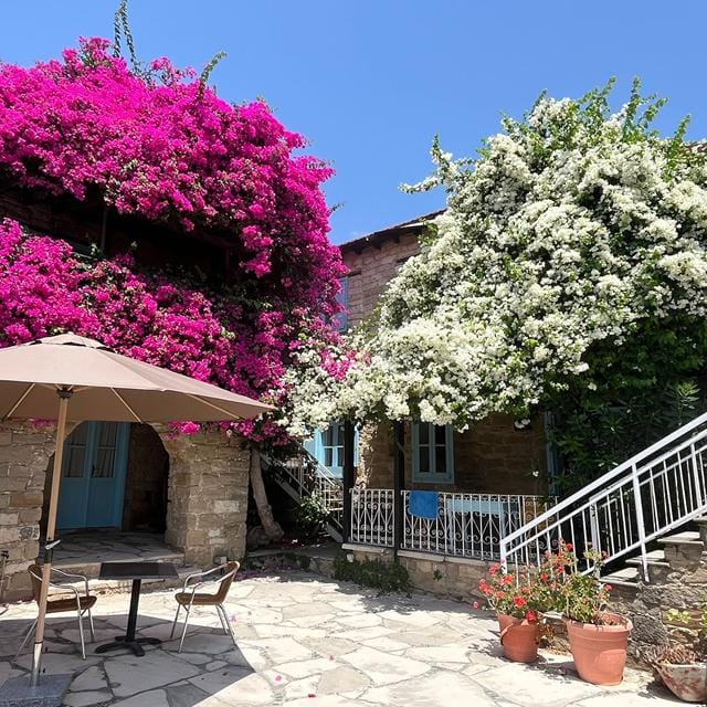 Cyprus Village Houses Tochni Appartement in Cyprus | Zensitivity Cyprus Village Houses Tochni Appartement in Cyprus - Afbeelding 3