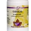 Holisan Guduchi Capsules 60st - 60CP | Zensitivity Holisan Guduchi Capsules 60st -  kopen-vitamine online - Ayurvedische supplementen kopen - supplementen kopen-voedingssupplementen-beste voedingssupplementen-supplementen bestellen-zensitivity