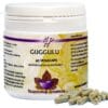 Holisan Guggulu Capsules - Soepele gewrichten kopen-vitamine online - Gewrichten supplementen kopen - supplementen kopen-voedingssupplementen-beste voedingssupplementen-supplementen bestellen-zensitivity