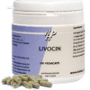 Holisan Livocin Capsules - 100CP | Zensitivity Holisan Livocin Capsules - Spijsvertering supplementen kopen-vitamine online - Maag en darm kopen - supplementen kopen-voedingssupplementen-beste voedingssupplementen-supplementen bestellen-zensitivity
