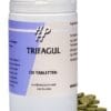 Holisan Trifagul Tabletten 120st - 120TB | Zensitivity Holisan Trifagul Tabletten 120st -  kopen-vitamine online - Ayurvedische supplementen kopen - supplementen kopen-voedingssupplementen-beste voedingssupplementen-supplementen bestellen-zensitivity