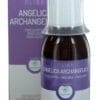 RP Vitamino Analytic Oligoplant Angelica Archangelica 120ml - 120ML | Zensitivity RP Vitamino Analytic Oligoplant Angelica Archangelica 120ml - Engelwortel kopen-vitamine online - Populaire supplementen kopen - supplementen kopen-voedingssupplementen-beste voedingssupplementen-supplementen bestellen-zensitivity