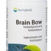 Springfield Brain Bow 100mg Softgels - 60SG | Zensitivity Springfield Brain Bow 100mg Softgels - Concentratie complex kopen-vitamine online - Concentratie supplementen kopen - supplementen kopen-voedingssupplementen-beste voedingssupplementen-supplementen bestellen-zensitivity