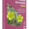 Trenker Tribulus Terrestris Max Capsules -  kopen-vitamine online - Supplementen man kopen - supplementen kopen-voedingssupplementen-beste voedingssupplementen-supplementen bestellen-zensitivity