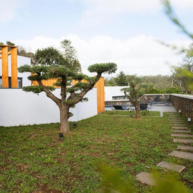 Vilas do Olival Villa in Azoren | Zensitivity Vilas do Olival Villa in Azoren - Afbeelding 3