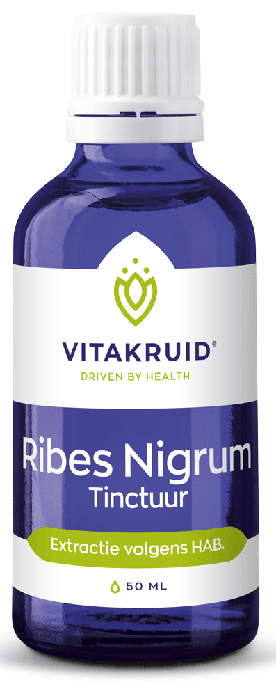 Vitakruid Ribes Nigrum Tinctuur 50ml - 50ML | Zensitivity Vitakruid Ribes Nigrum Tinctuur 50ml -  kopen-vitamine online -  kopen