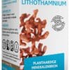 Arkocaps Lithothamnium Capsules 45st -  kopen-vitamine online - Multi mineralen kopen - supplementen kopen-voedingssupplementen-beste voedingssupplementen-supplementen bestellen-zensitivity