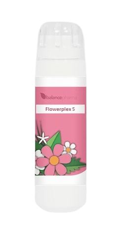 Balance Pharma Flowerplex 005 Energetische Bescherming -  kopen-vitamine online - Energethische supplementen kopen - supplementen kopen-voedingssupplementen-beste voedingssupplementen-supplementen bestellen-zensitivity