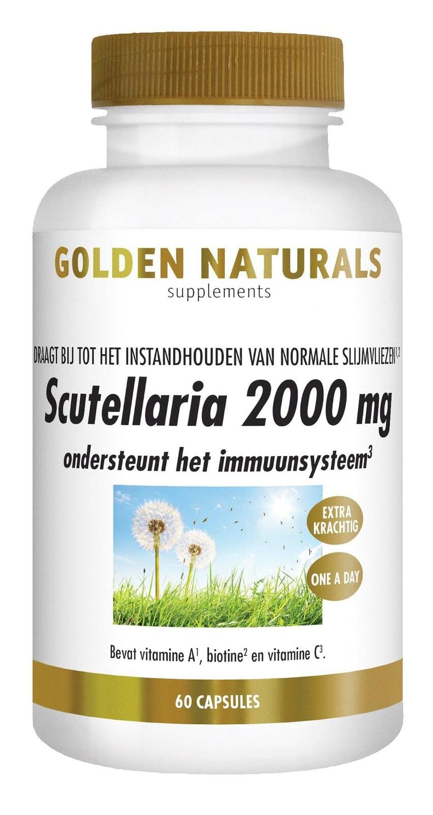 Golden Naturals Scutellaria 2000 mg Capsules - 60CP | Zensitivity Golden Naturals Scutellaria 2000 mg Capsules - Scutellaria kopen-vitamine online - Populaire supplementen kopen - supplementen kopen-voedingssupplementen-beste voedingssupplementen-supplementen bestellen-zensitivity