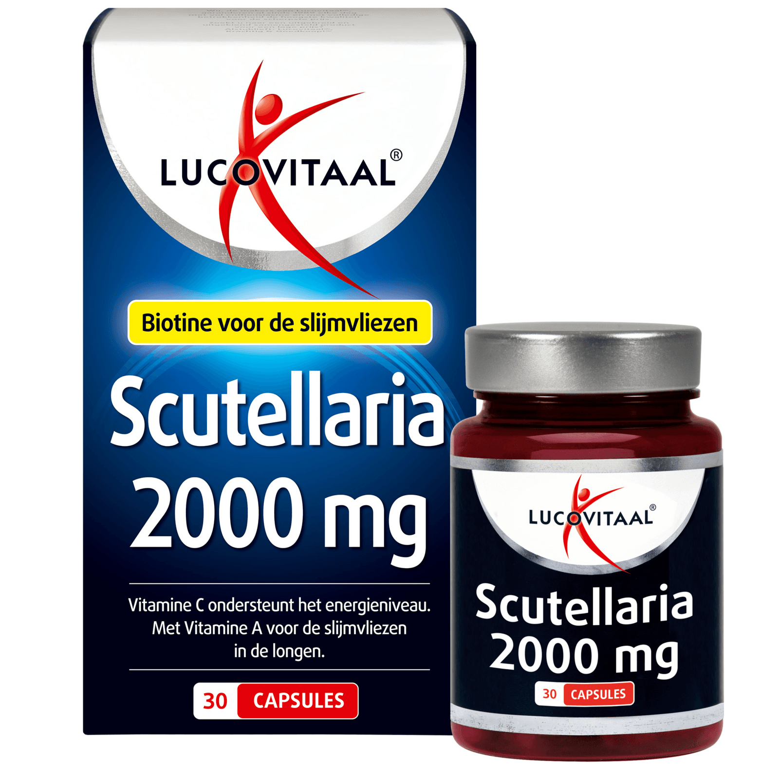 Lucovitaal Scutellaria 2000mg Capsules - 30CP | Zensitivity Lucovitaal Scutellaria 2000mg Capsules - Scutellaria kopen-vitamine online - Populaire supplementen kopen - supplementen kopen-voedingssupplementen-beste voedingssupplementen-supplementen bestellen-zensitivity