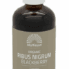 Mattisson HealthStyle Biologisch Ribus Nigrum Complex Druppels -  kopen-vitamine online -  kopen - supplementen kopen-voedingssupplementen-beste voedingssupplementen-supplementen bestellen-zensitivity