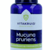 Mucuna pruriens 400 mg minimaal 25% L-Dopa - 60VCP | Zensitivity Mucuna pruriens 400 mg minimaal 25% L-Dopa - Overig kopen-vitamine online - Populaire supplementen kopen - supplementen kopen-voedingssupplementen-beste voedingssupplementen-supplementen bestellen-zensitivity