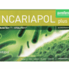 Purasana Uncariapol Plus Ampullen 20st - Weerstand complex kopen-vitamine online - Weerstand kopen - supplementen kopen-voedingssupplementen-beste voedingssupplementen-supplementen bestellen-zensitivity
