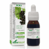 Soria Natural Ribes Nigrum Extract Glycine XXI Druppels - 50ML | Zensitivity Soria Natural Ribes Nigrum Extract Glycine XXI Druppels - Zwarte Bes (Ribes Nigrum) kopen-vitamine online - Populaire supplementen kopen - supplementen kopen-voedingssupplementen-beste voedingssupplementen-supplementen bestellen-zensitivity
