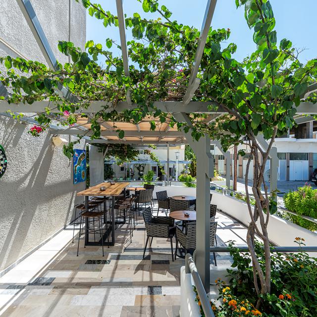 Appartementen Sunrise – Griekenland | Zensitivity Appartementen Sunrise – Griekenland - Afbeelding 6