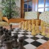 Appartementen Turcongel – Portugal | Zensitivity Appartementen Turcongel
