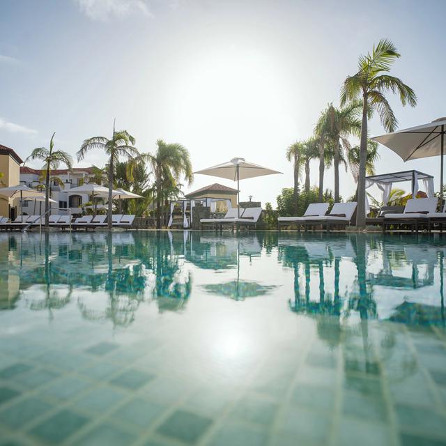 Hotel Dreams Madeira - winterzon – Portugal | Zensitivity Hotel Dreams Madeira - winterzon