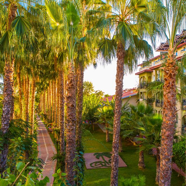 -vakantie Turkije-vakantie Alanya-Last minute vakantie Turkije-zensitivity vakantie