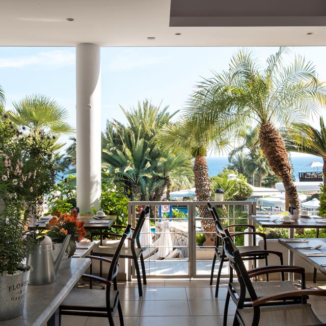 -vakantie Cyprus-vakantie Limassol-Last minute vakantie Cyprus-zensitivity vakantie