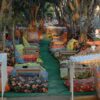 Hotel Okaliptus – Turkije | Zensitivity Hotel Okaliptus Bodrum Bitez Turkije 5 -