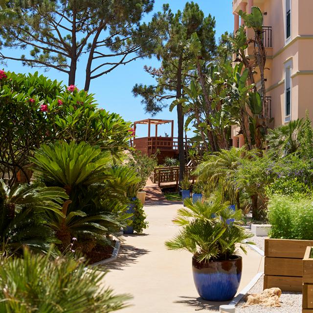 Hotel PortoBay Blue Ocean – Portugal | Zensitivity -vakantie Portugal-vakantie Olhos de Água-Last minute vakantie Portugal-zensitivity vakantie