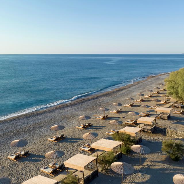 Curio Collection by Hilton