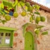 Lithina Villas Aparthotel in Zakynthos