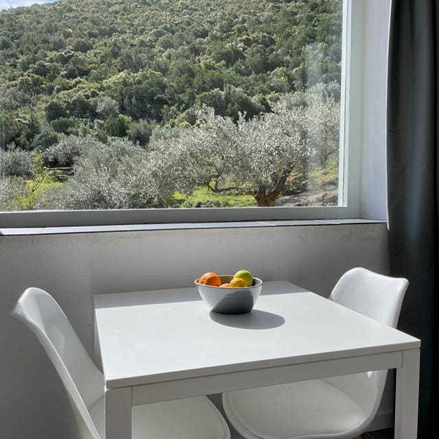 Orange Apartments Appartement -vakantie Griekenland-goedkope vakantie Griekenland-vakantie boeken-vakantie Peloponnesos-last minute vakantie Griekenland-zensitivity- Appartement boeken