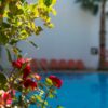 Appartementen Villa Dora Chania Platanias