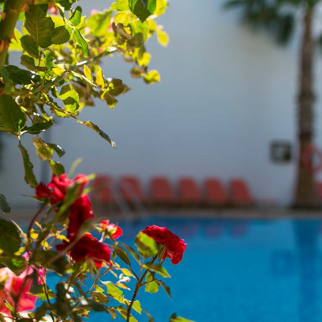 Appartementen Villa Dora Chania Platanias
