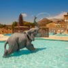 Hotel Magic Natura Flight