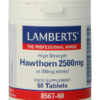Lamberts Crataegus 2500mg Tabletten Meidoorn (Crataegus)