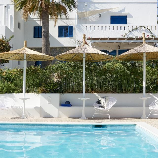 White Blue Villa (voorheen Villa Ippocampi) Appartement -vakantie Griekenland-goedkope vakantie Griekenland-vakantie boeken-vakantie Kreta-last minute vakantie Griekenland-zensitivity- Appartement boeken